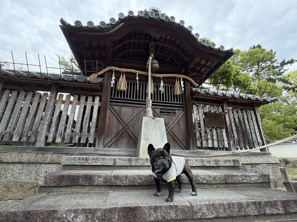 サーブ tweet media