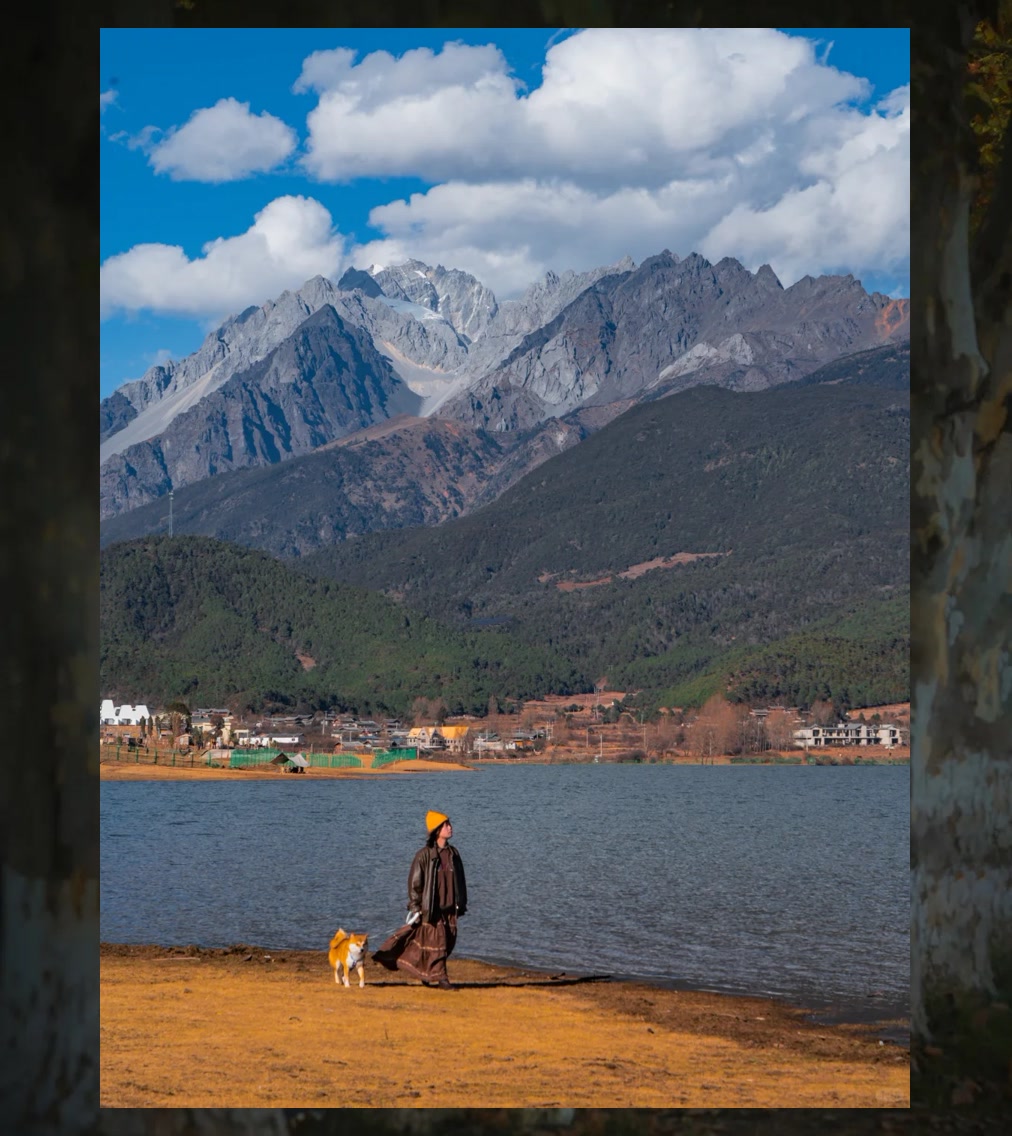 Stephen Fisher tweet media