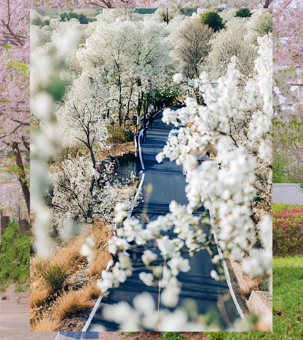 Rodney Russell tweet media