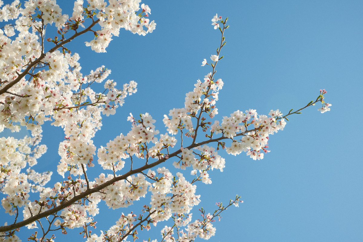 じるまん tweet media