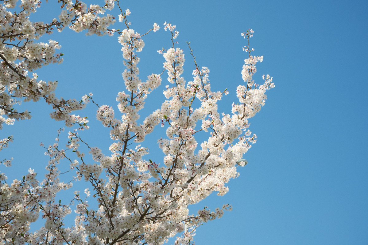 じるまん tweet media