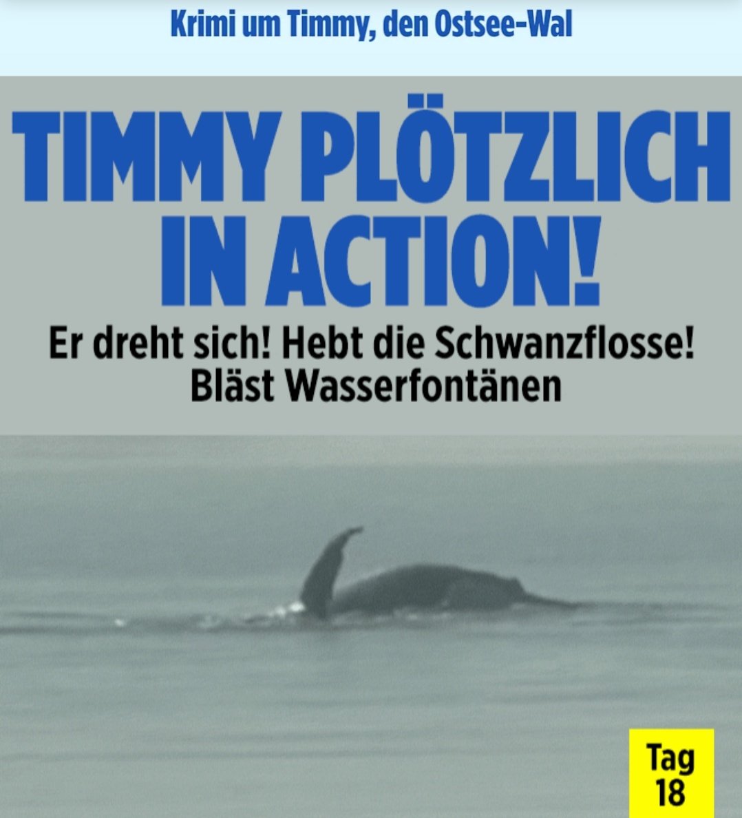 🏖 C von der See 🎁 Sicherheitspaket tweet media