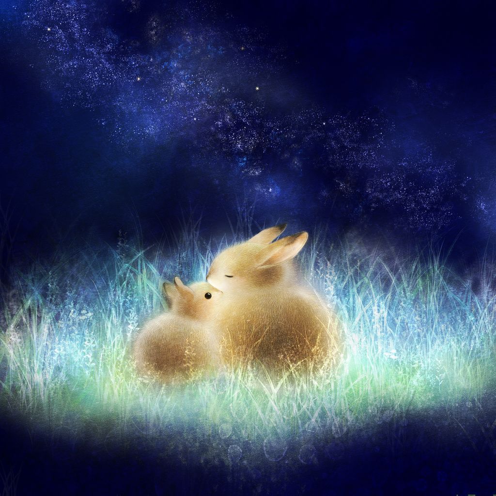 いぬい さえこ🐿️ tweet media