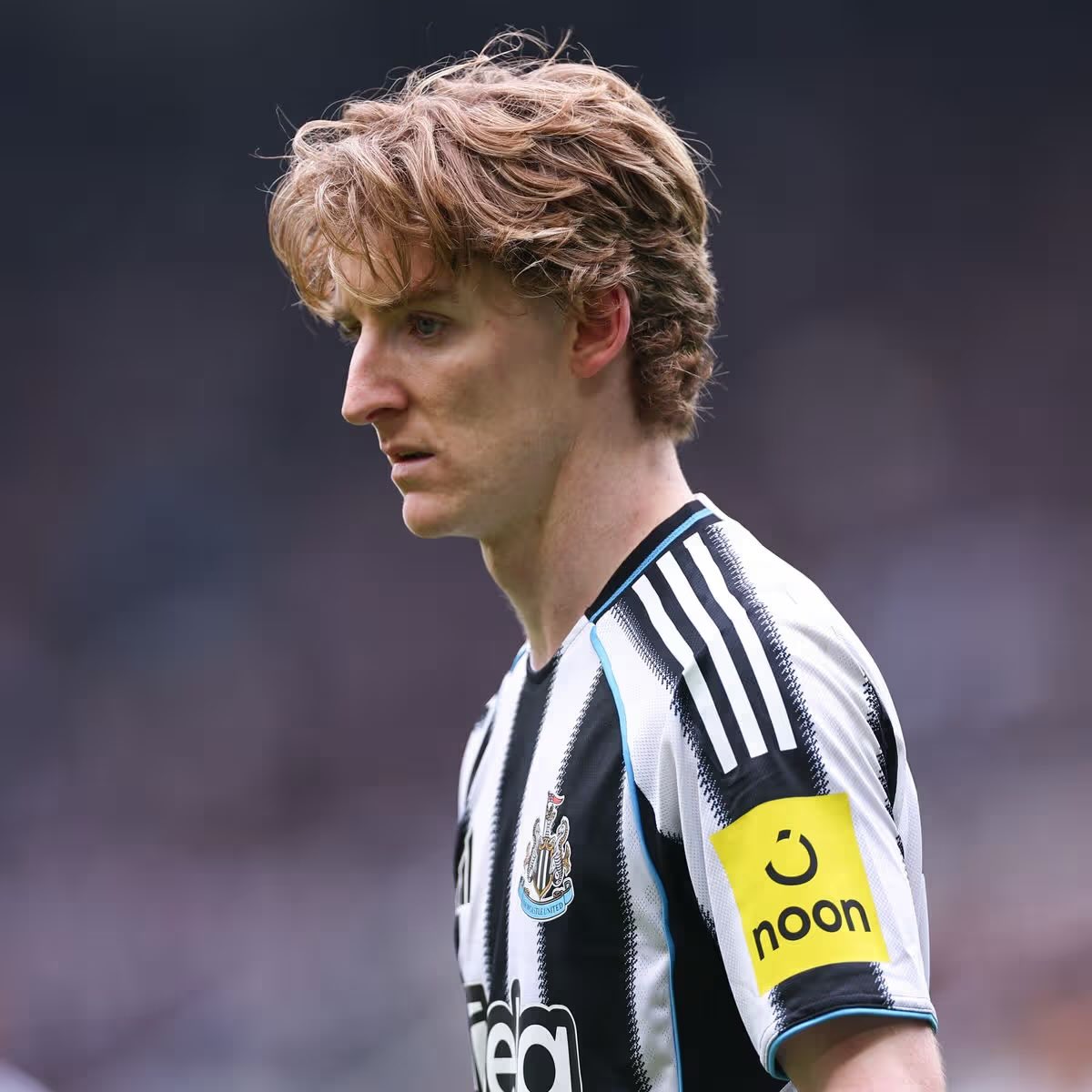 𝒏𝒖𝒈𝒔 tweet media