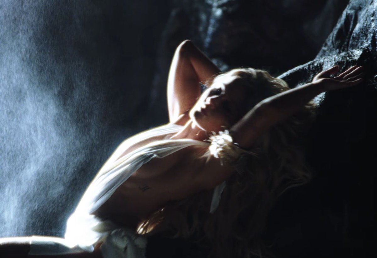 chrysanthemum tweet media