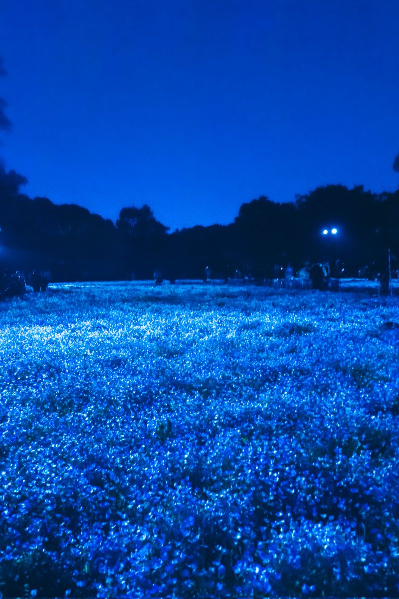 空に青。 tweet media