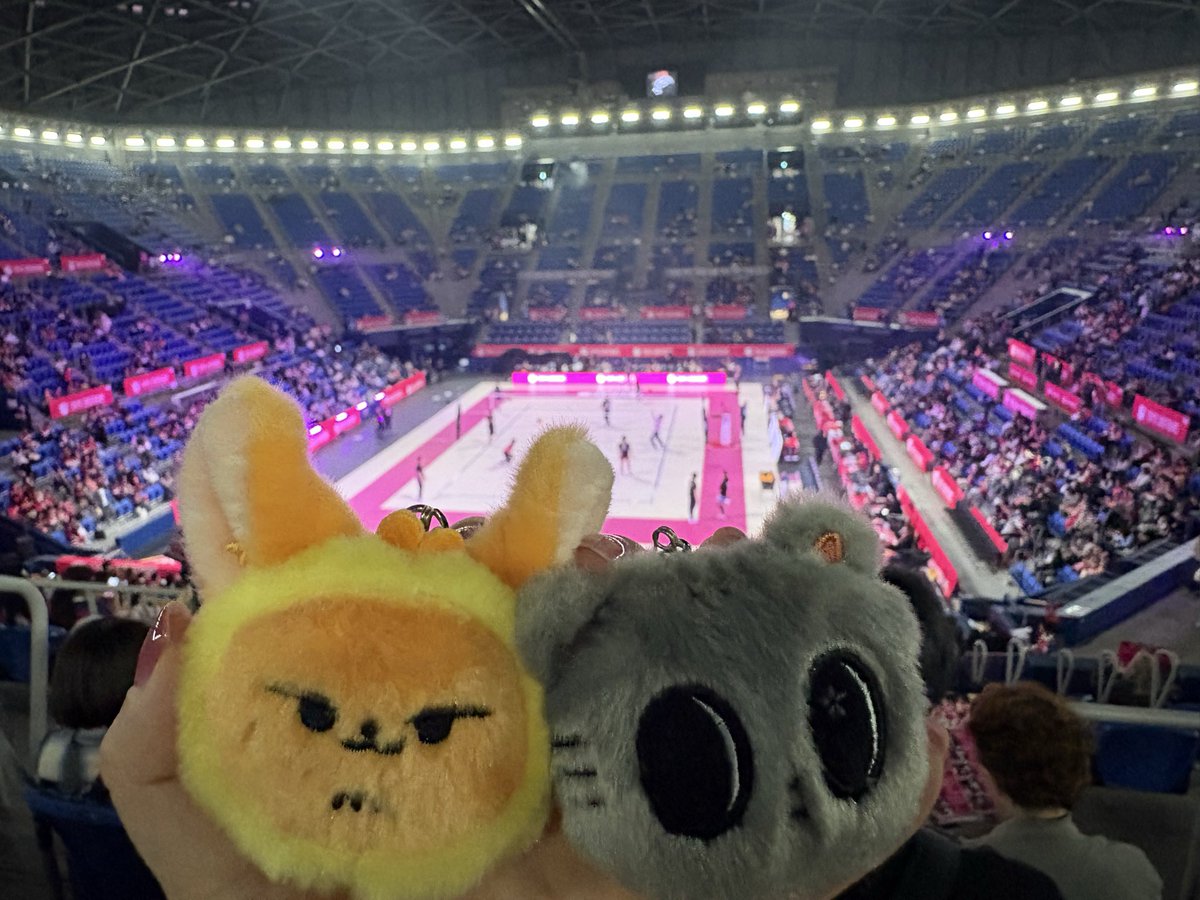 すいか🍉 tweet media