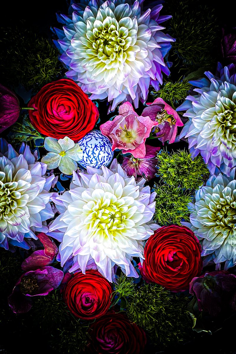 supremeさんの写真部屋 tweet media