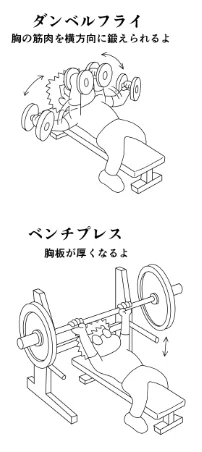 今日のトレ
早朝ジョギング7km
ダンベルフライ片側12.5k10x2
ベンチプレス60k10,80k10x3,70k7,8,7
ディップス自重10x3
ハイケーブルフライ片側20k10x3
腹筋5種各40x2
インクラインダンベルプレス片側20k10x3
70分
体重63.1kg
体脂肪率14.9%
#筋トレ #ダイエット 