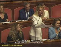 un girovago tweet media