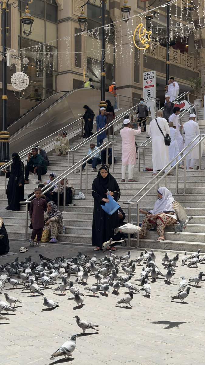 Sh_20016's tweet photo. ﴿ إِنَّ اللَّهَ وَمَلَائِكَتَهُ يُصَلُّونَ عَلَى النَّبِيِّ ۚ يَا أَيُّهَا الَّذِينَ آمَنُوا صَلُّوا عَلَيْهِ وَسَلِّمُوا تَسْلِيمًا ﴾ https://t.co/wfNe177D73