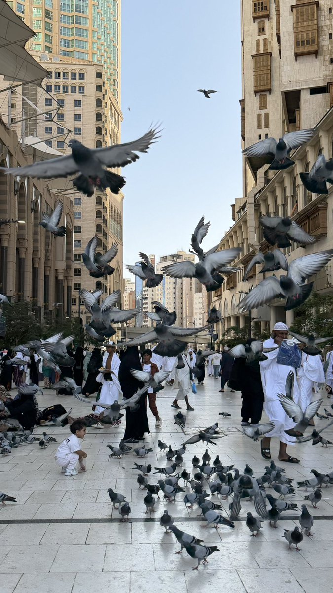 Sh_20016's tweet photo. ﴿ إِنَّ اللَّهَ وَمَلَائِكَتَهُ يُصَلُّونَ عَلَى النَّبِيِّ ۚ يَا أَيُّهَا الَّذِينَ آمَنُوا صَلُّوا عَلَيْهِ وَسَلِّمُوا تَسْلِيمًا ﴾ https://t.co/wfNe177D73