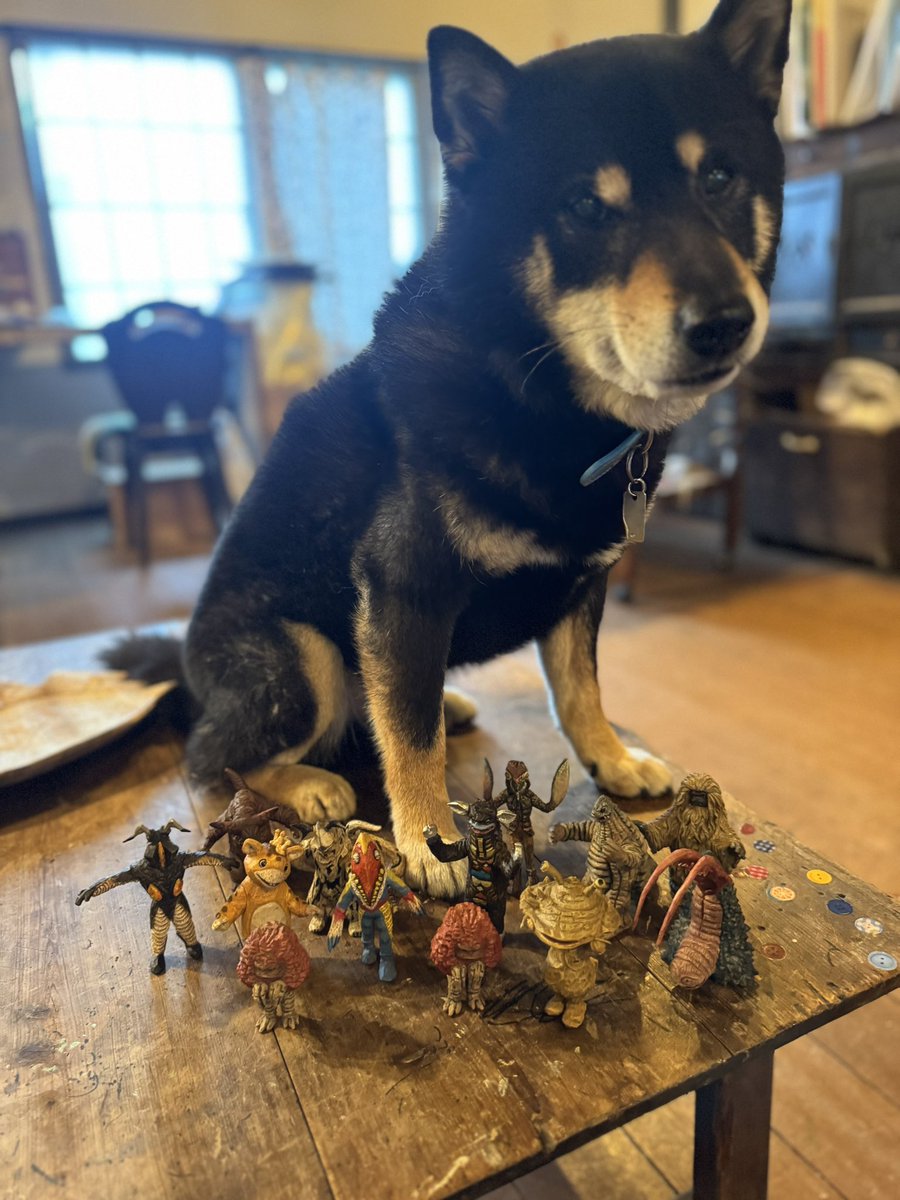 はしもとみお tweet media