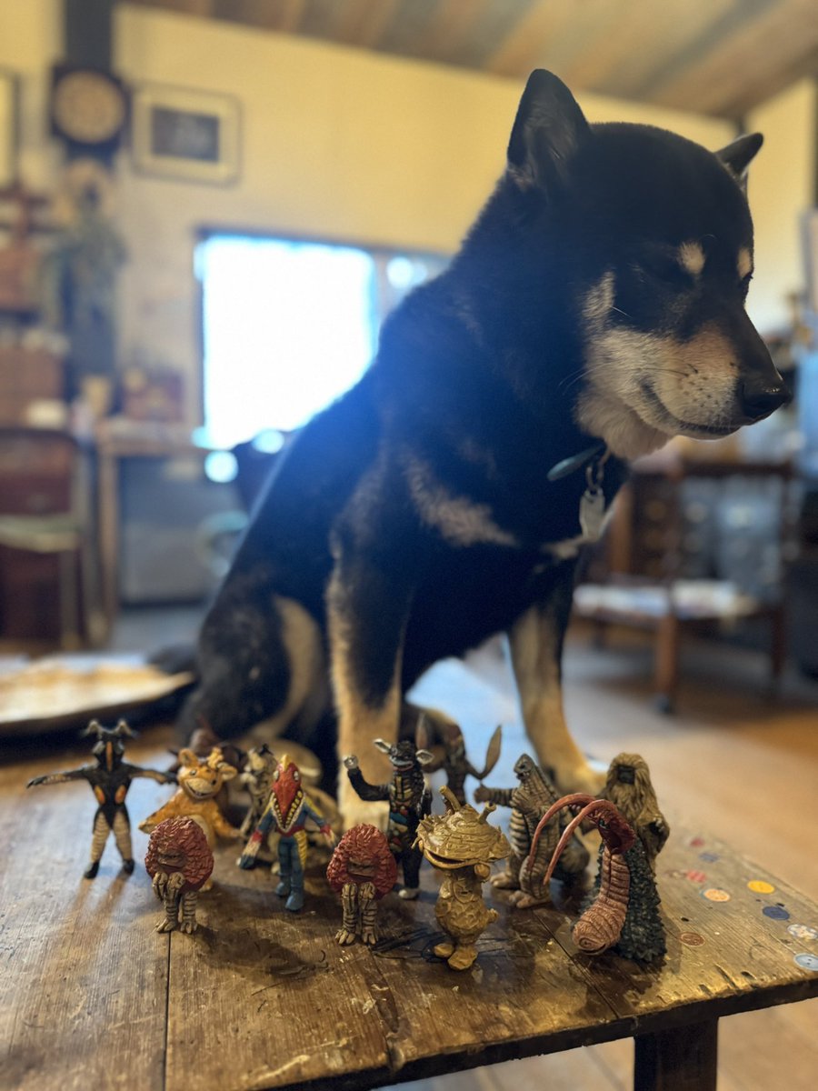 はしもとみお tweet media