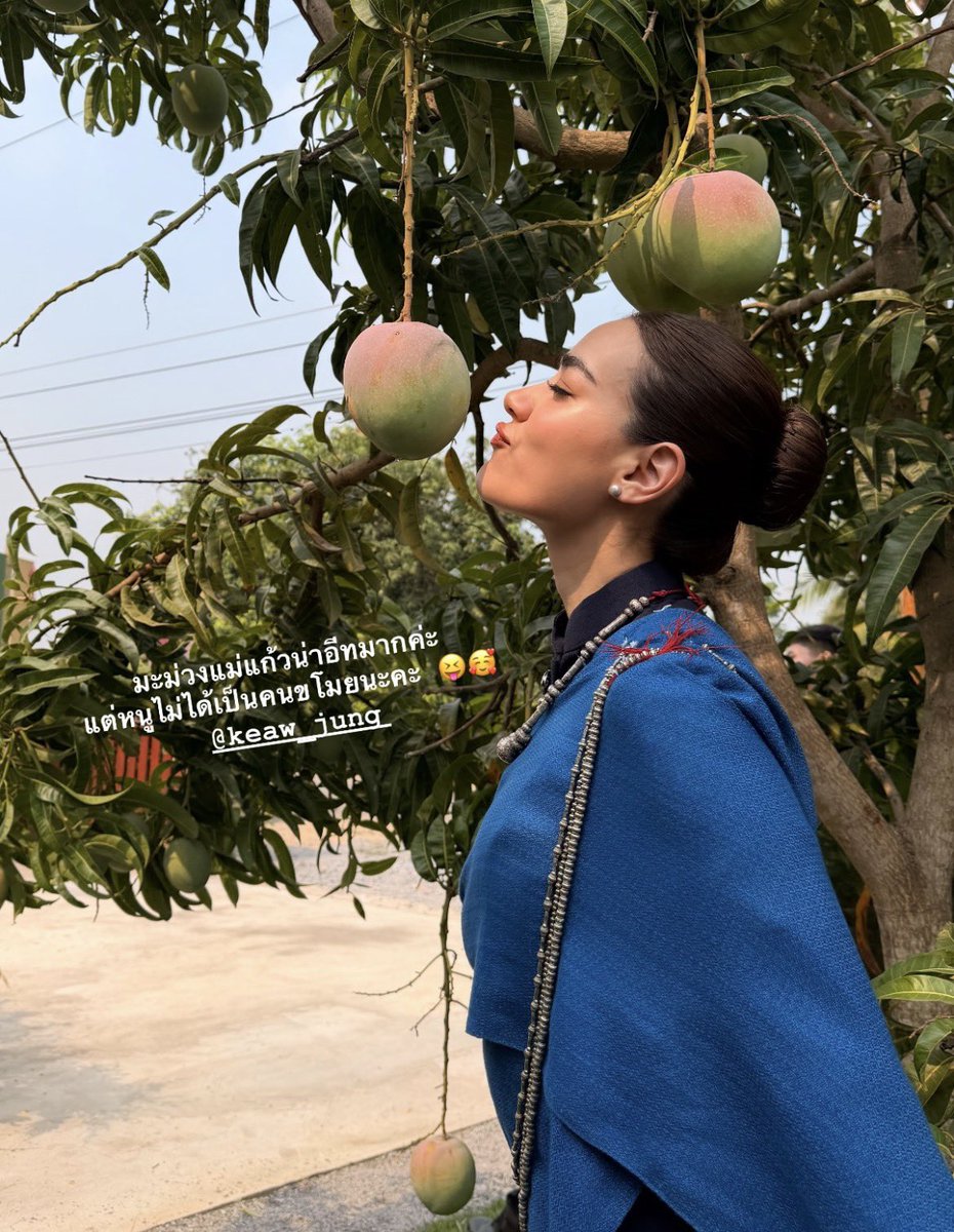 ข้าวนึ่ง🍚 𐙚 ̊ tweet media