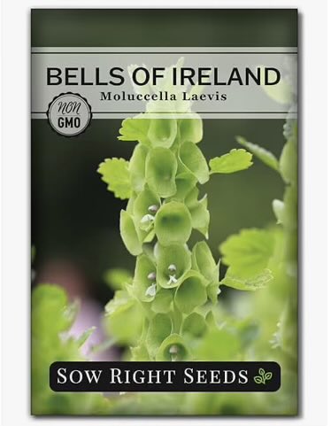 pawpaw_ray's tweet image. 🌞Good Morning, neighbors🌞
Awake at 04:26 Indiana time🇺🇸 (09:26🇮🇪)
🙏Thanking God for 7 hours #sleep!🙏

⭐️Is your weekend #weather cooperating with your plans?⭐️

We have rain/freezing weather forecast.
Instead of planting outside, we are starting our #Irish plants inside.