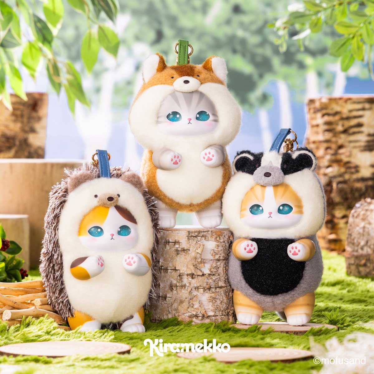 Kiramekko公式 tweet media