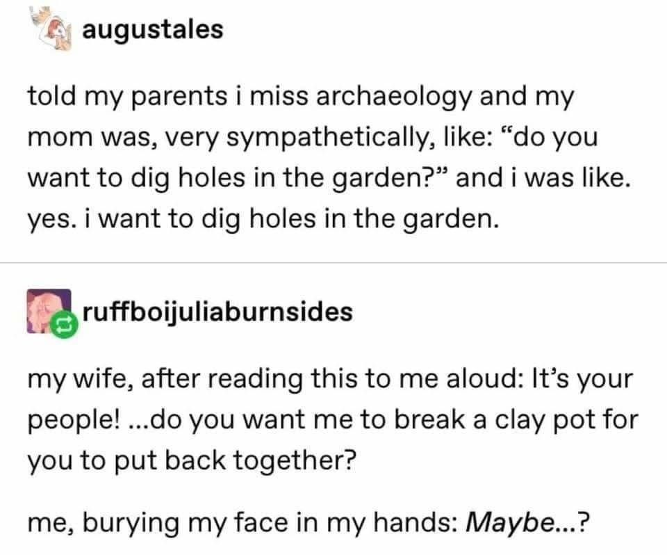 Classical Studies Memes tweet media