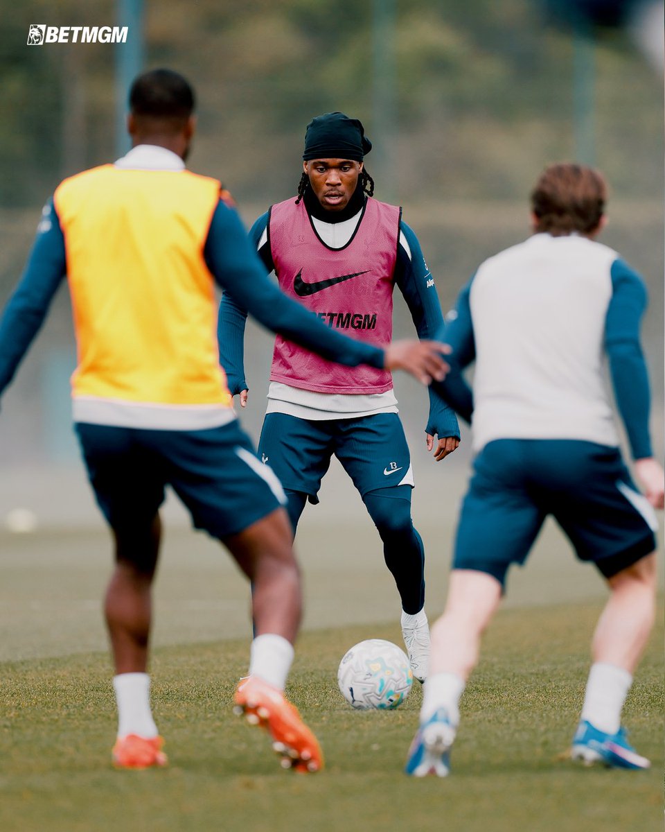 Tottenham Hotspur tweet media