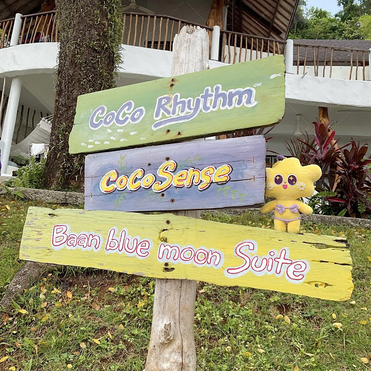 🔆 summer crochet tweet media