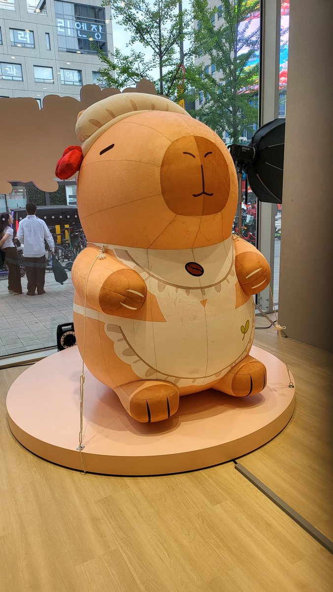 새벽돌 tweet media