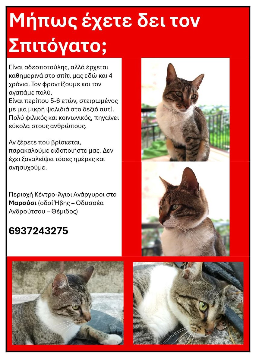 Χλε_Μπονα Σαμερ tweet media