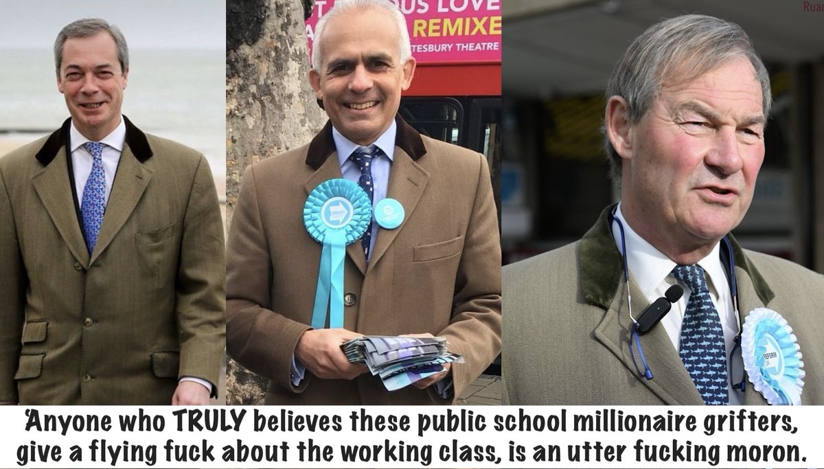 THE TWIT/TER TRANSLATOR tweet media