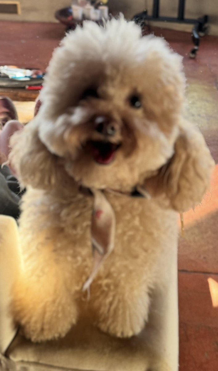 Kostas.Vaxevanis tweet media