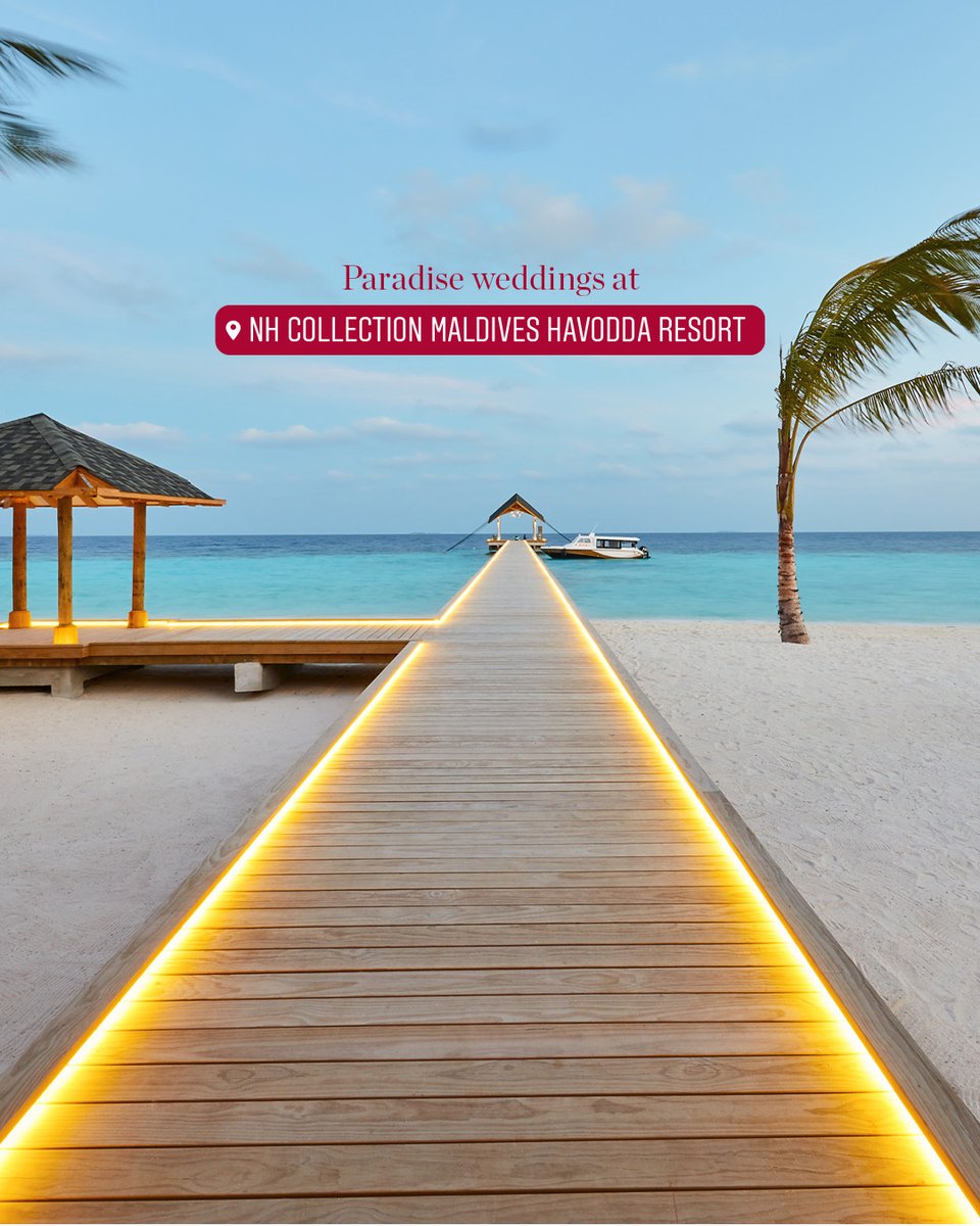 NH Collection tweet media