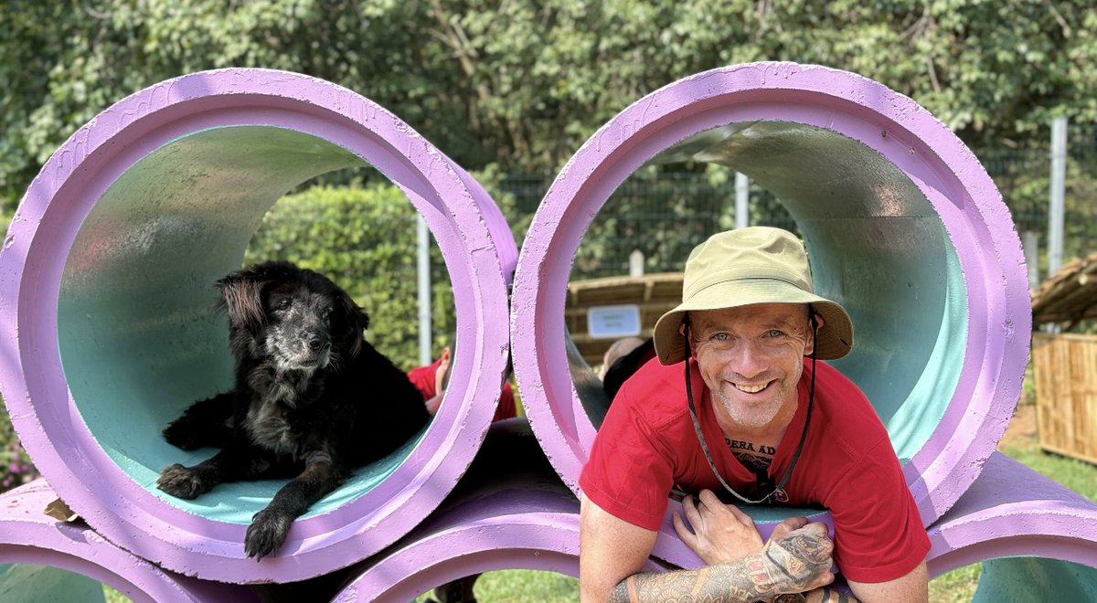 Happy Doggo tweet media