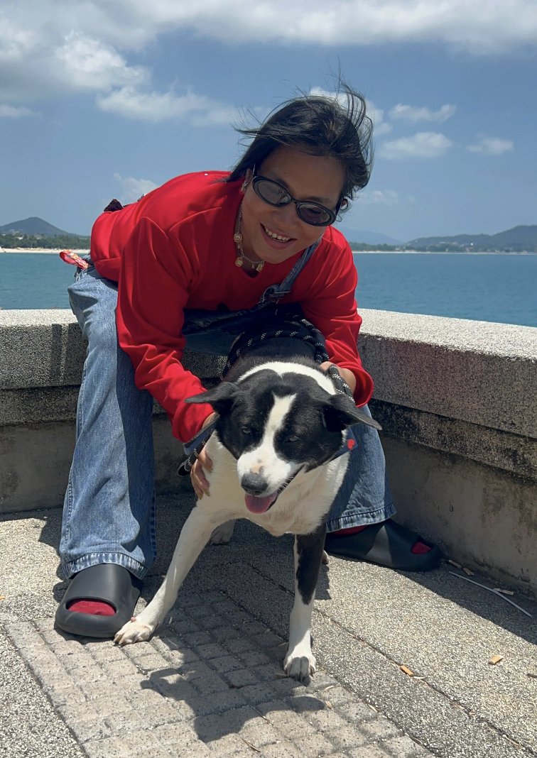 Happy Doggo tweet media