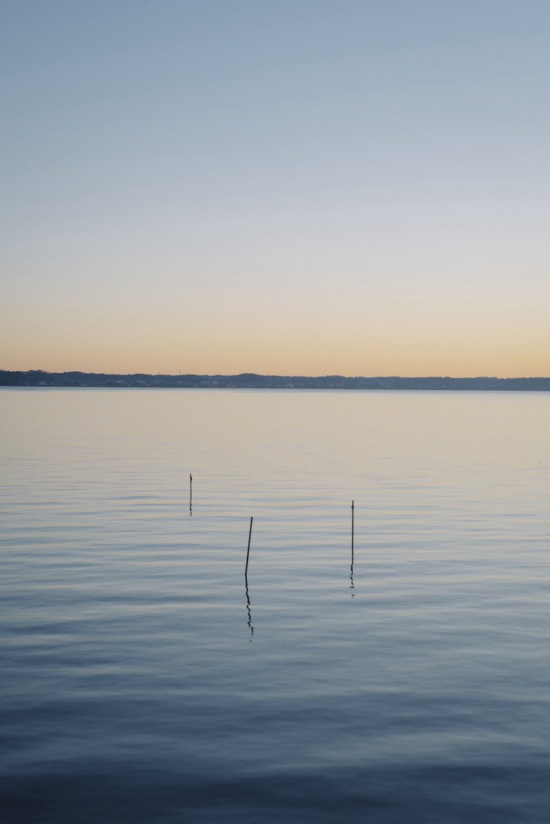 Tanao l 田中 菜生 tweet media