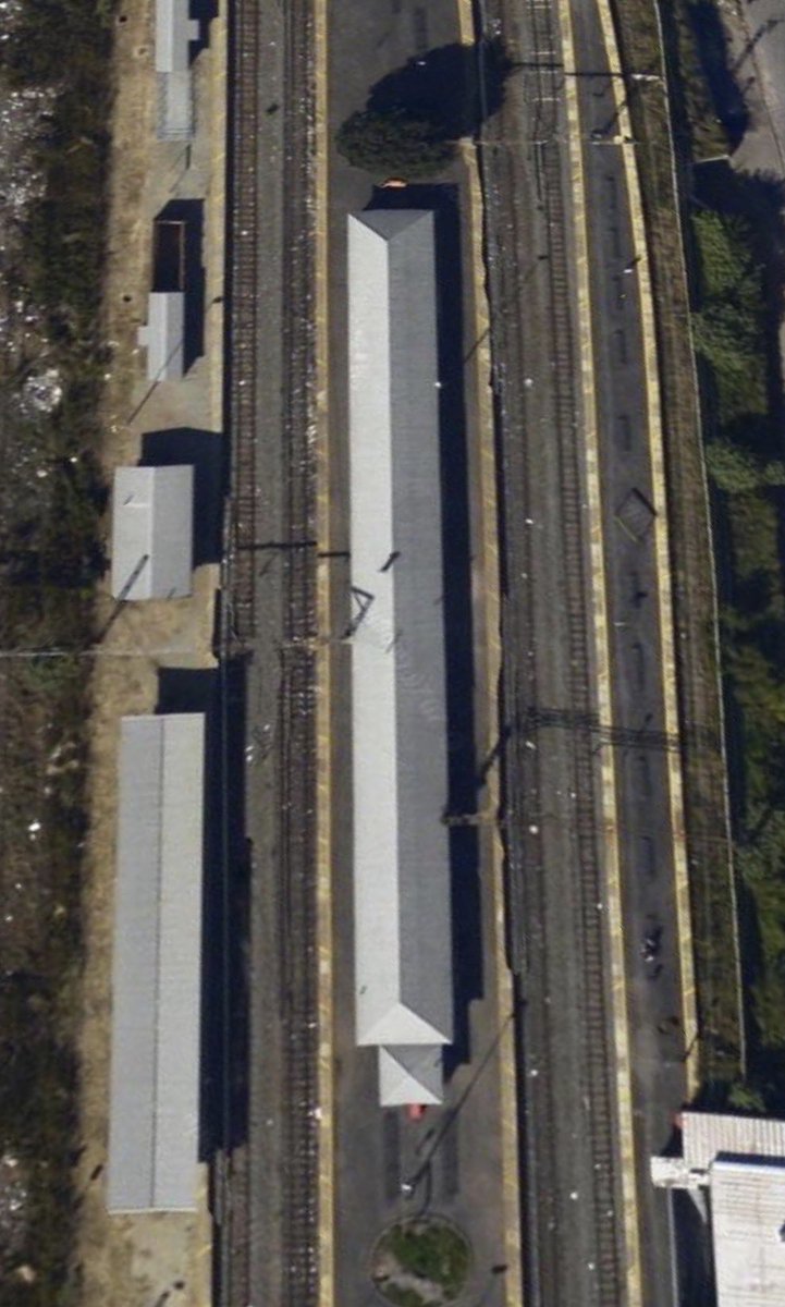 Conscious Caracal 🇿🇦 tweet media