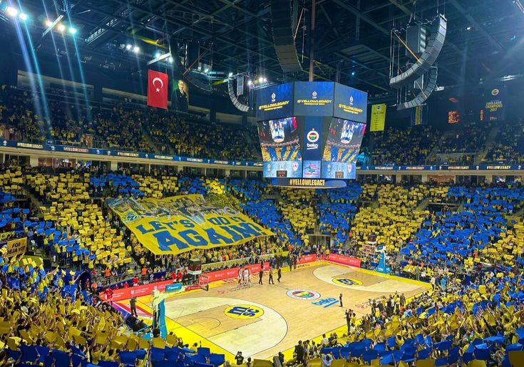 yiğit ege tweet media