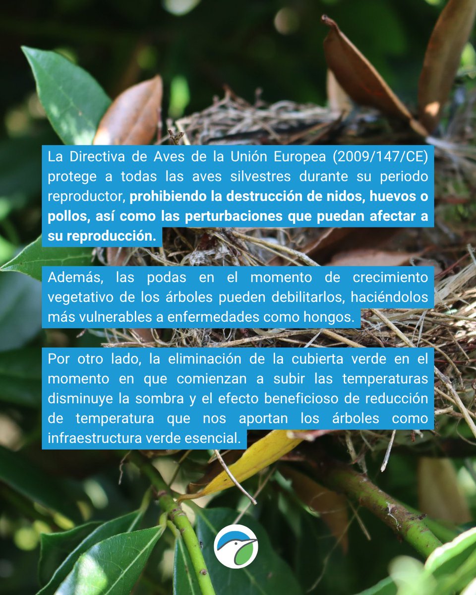 SEO/BirdLife tweet media