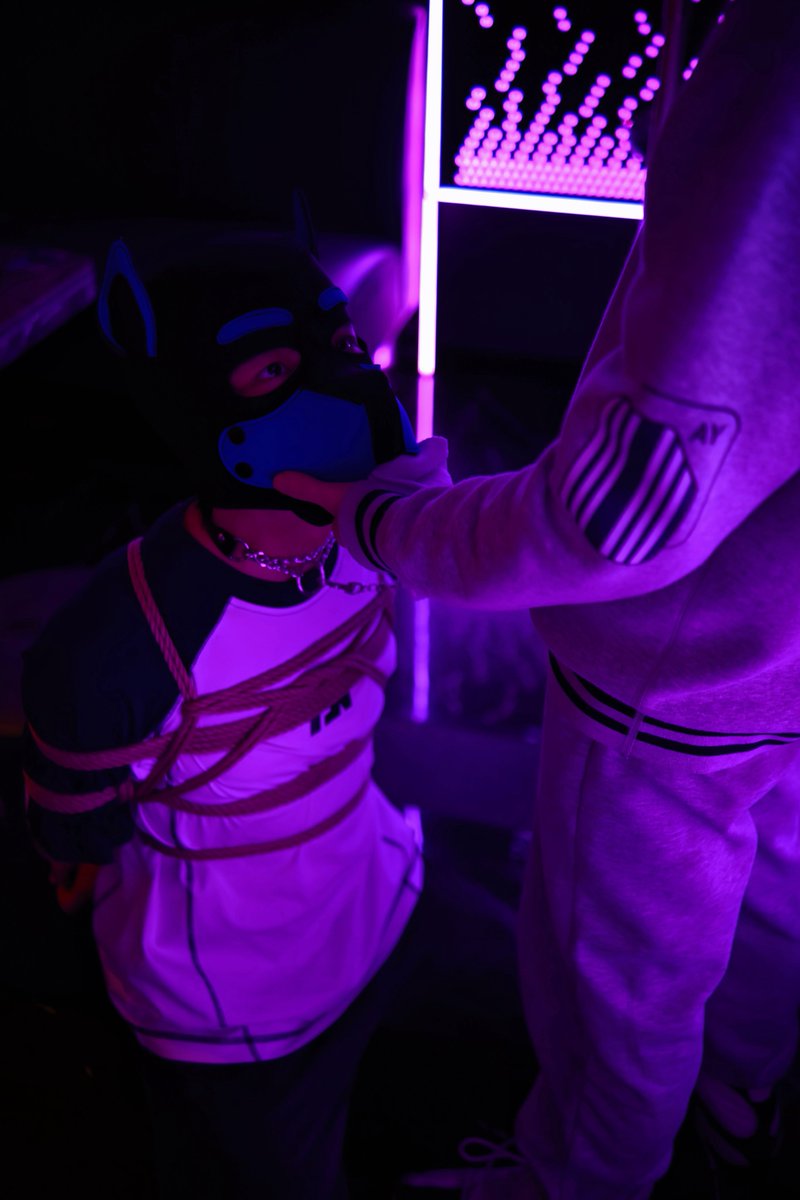 冯诺伊曼 tweet media