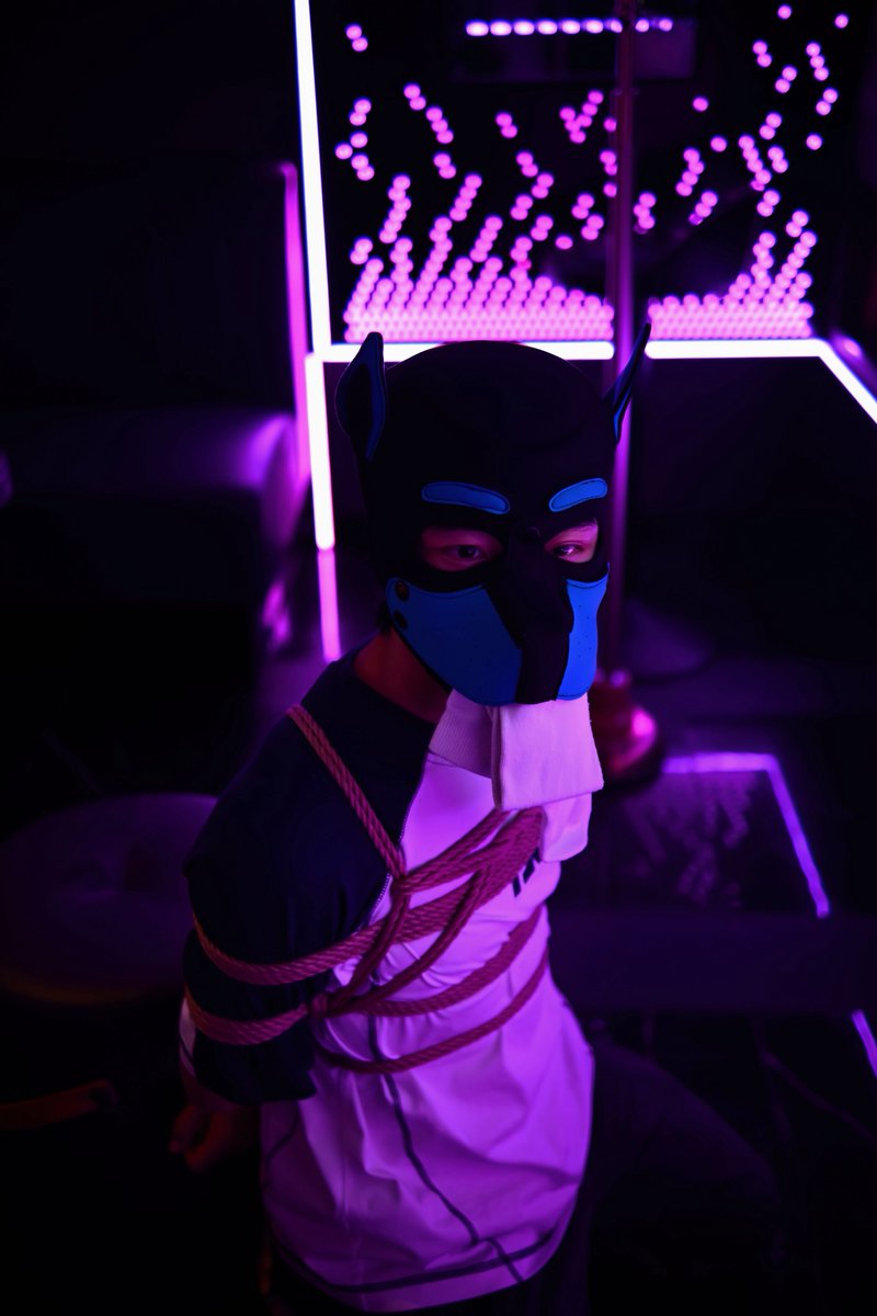 冯诺伊曼 tweet media