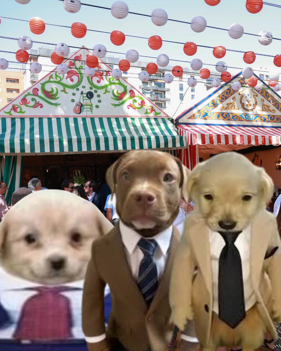 Andalucía Directo ❎ tweet media