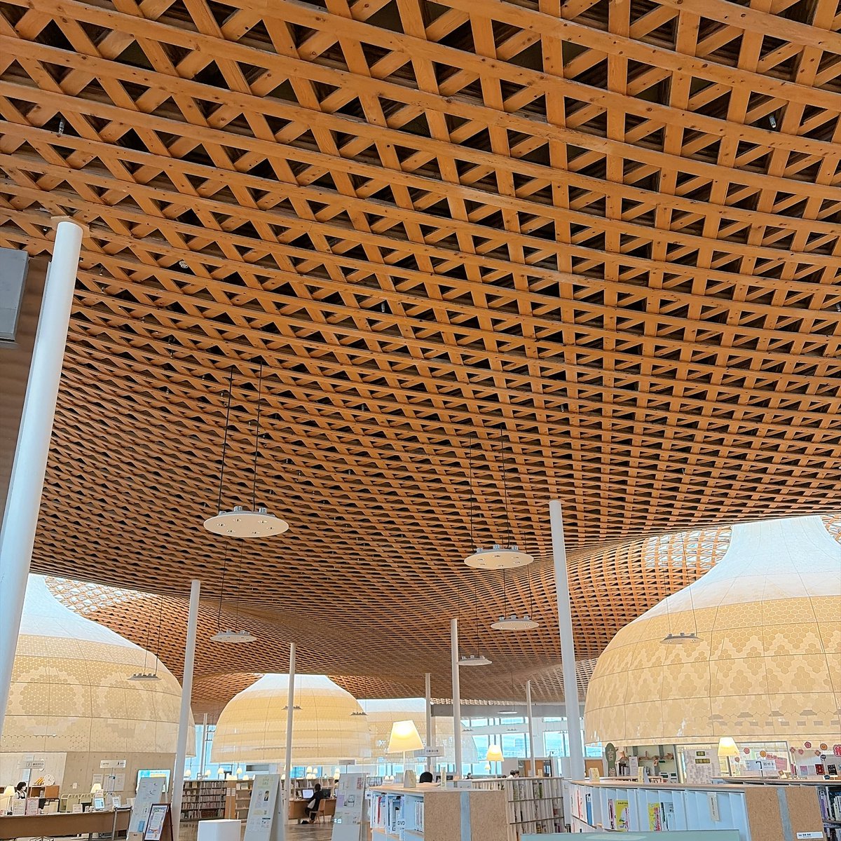 あんこ tweet media