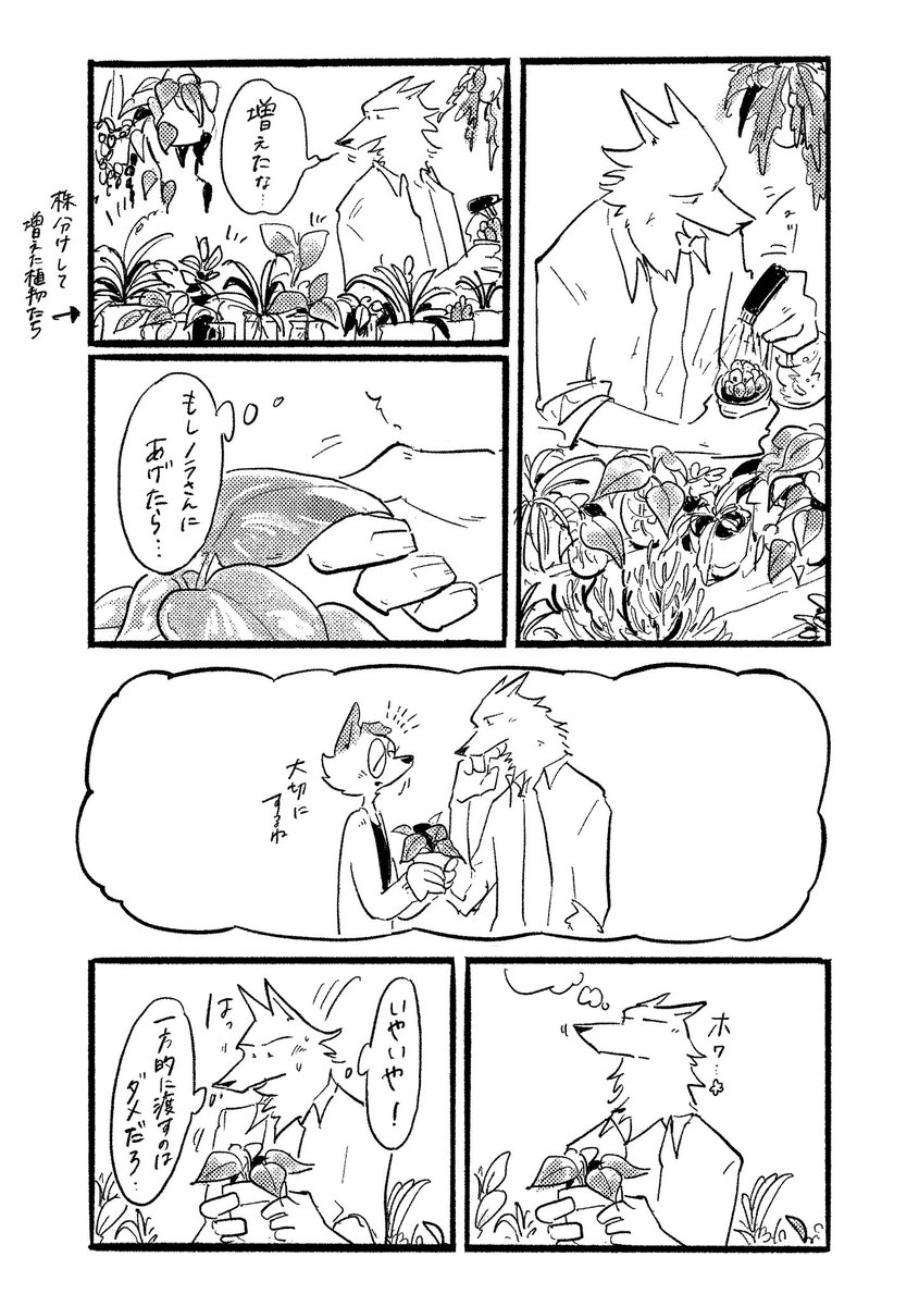 蒔/maki tweet media