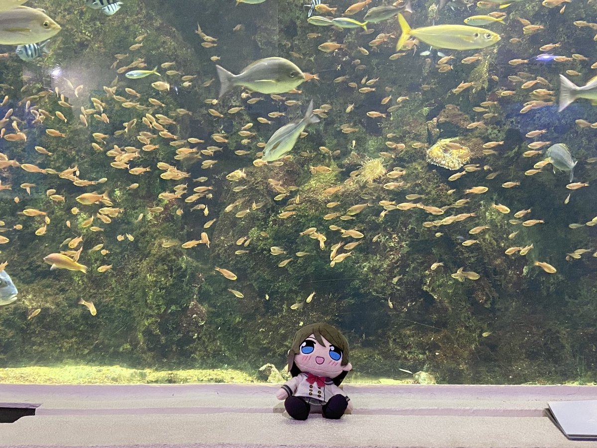 楽しかった！！！
ありがとう沼津！！！
ありがとうラブライブ！！！
ありがとう曜ちゃん！！！
おめでとう曜ちゃん！！！

また来年もお祝いさせてねっ
大好きだよ🩵

#渡辺曜生誕祭2026