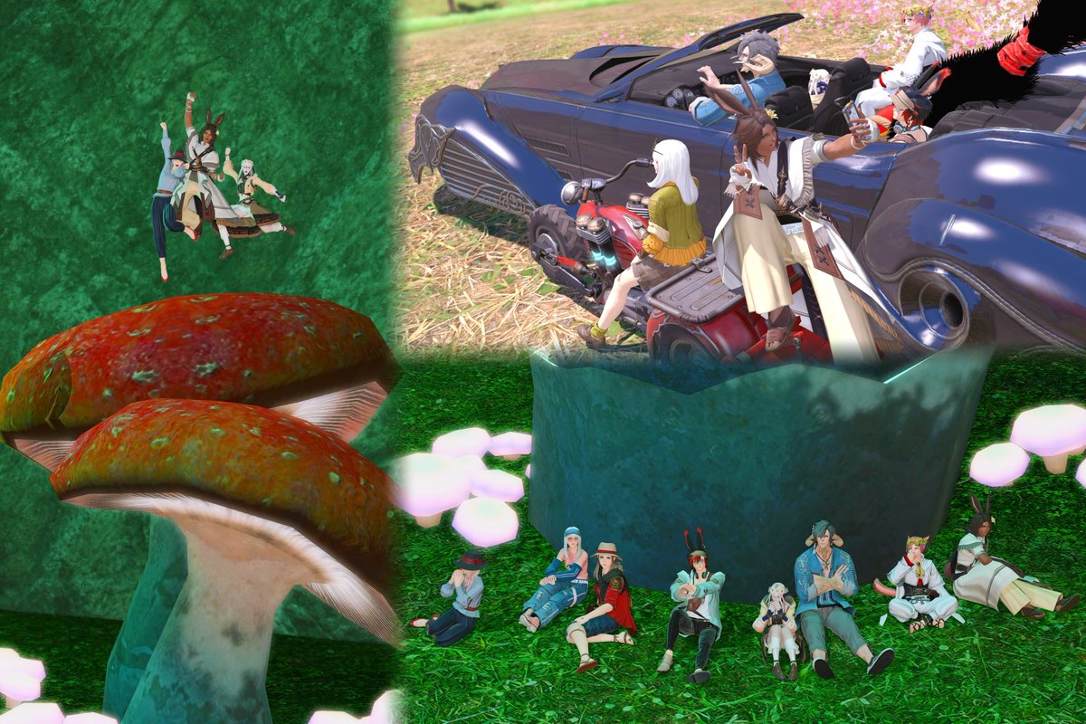 しえん＠ぬまこ tweet media