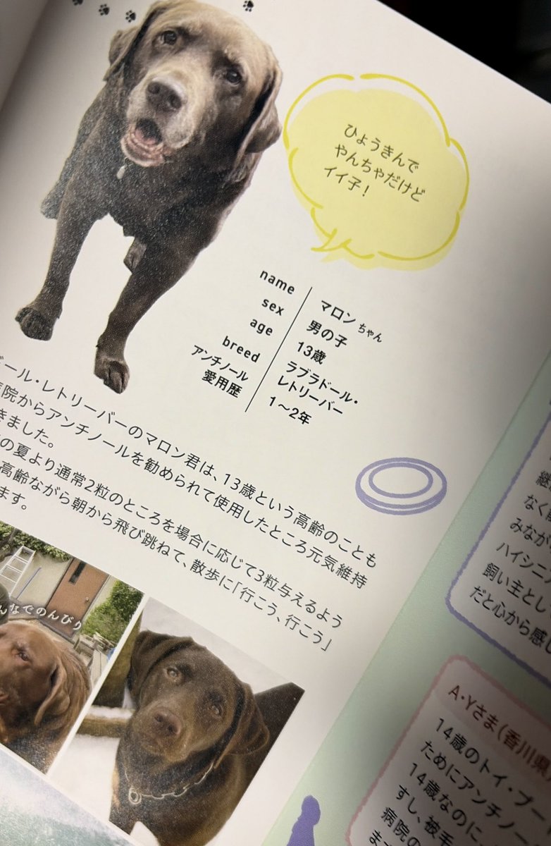 お尽き tweet media