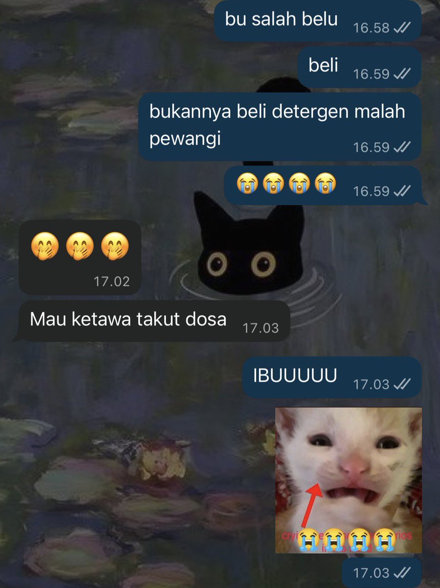ocha tweet media