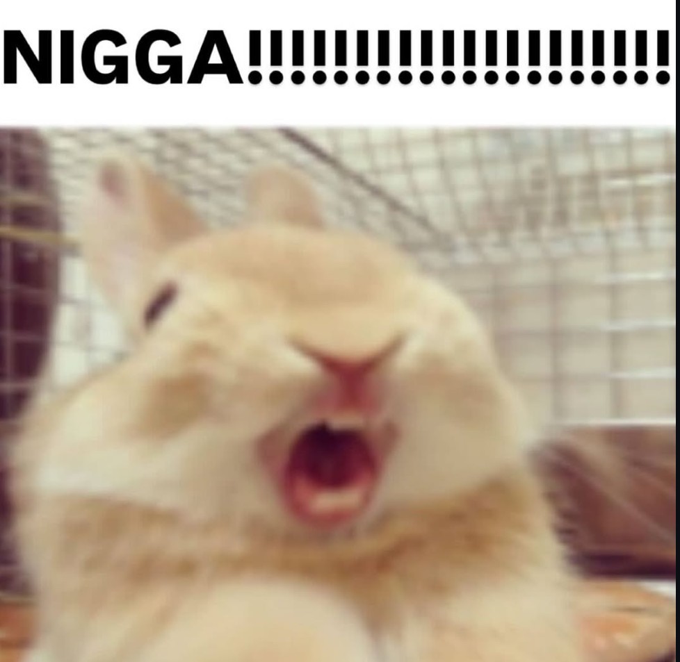 ⋆. 𐙚llari✿ tweet media