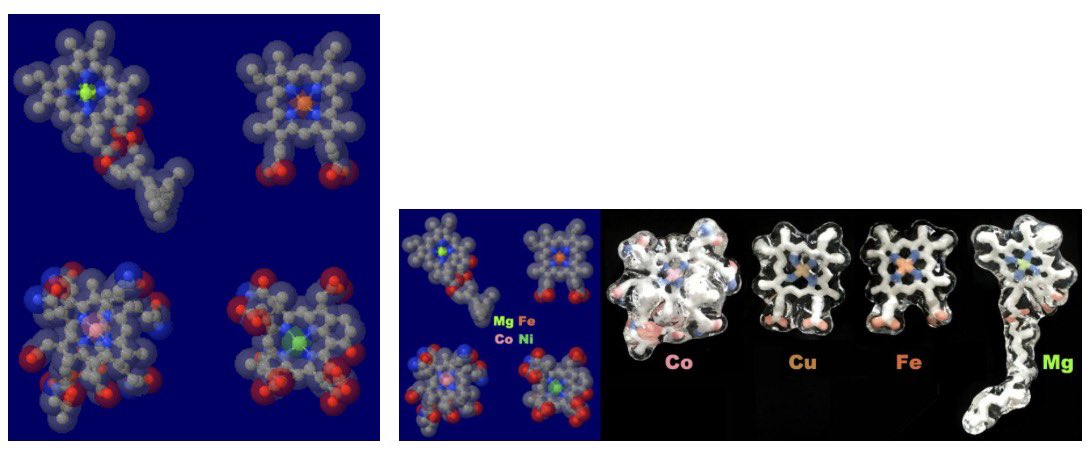 本間善夫 - 科学コミュニケーター tweet media