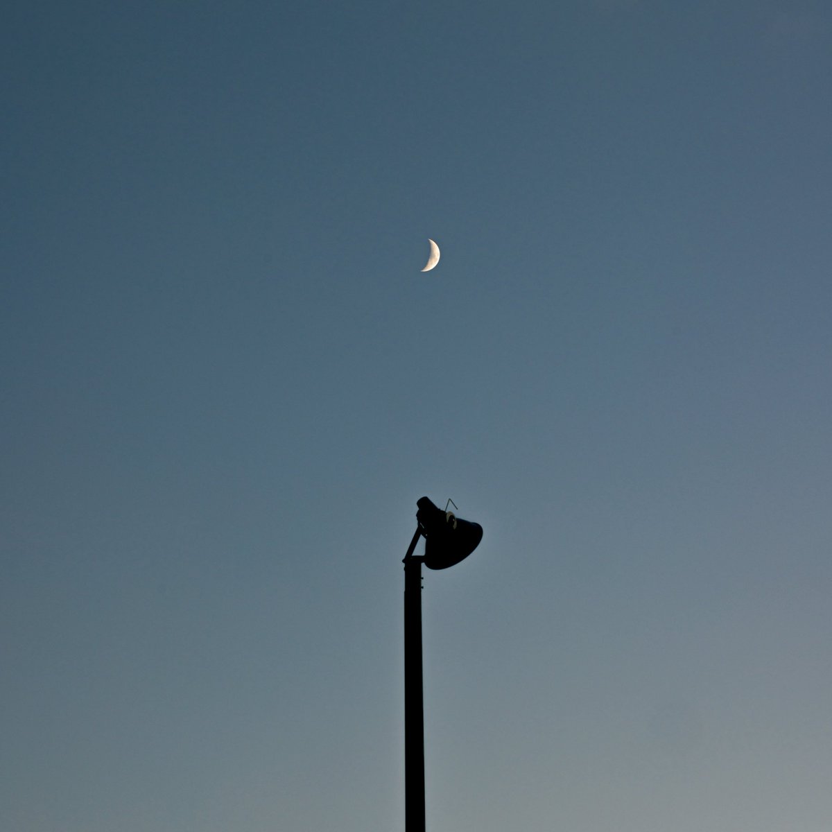 Nao Kudo tweet media