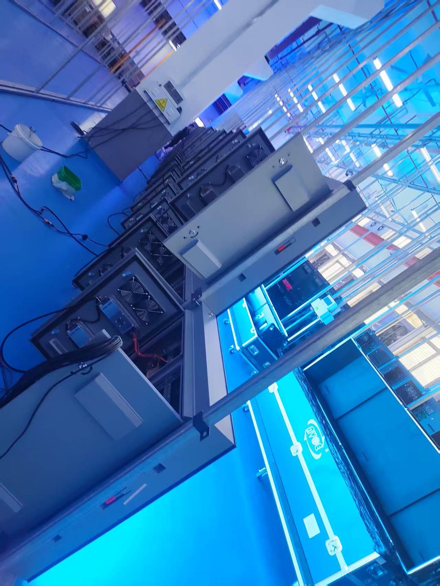 jarednickelesdalton tweet media