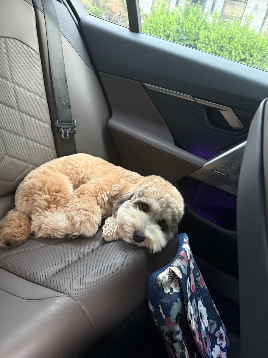 Dabin.kr / 홍다빈 tweet media