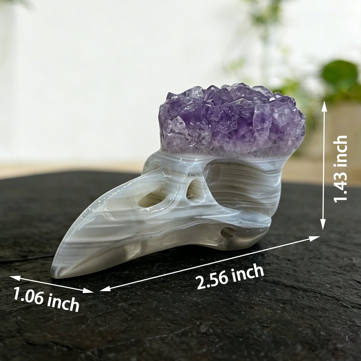 Arcane_skull's tweet photo. 2.5 inch Amethyst Cluster Crow Skull - Natrual Amethyst Crystal Carving
Link：https://t.co/hrBnNjoCPh
#ArcaneSkull #CrowSkull #AmethystCluster #CrystalCarving #HandCarvedCrystal #DarkAesthetic #GothicHome #WitchyVibes #DarkAcademia #OdditiesAndCuriosities #CrystalCollection #Mineralogy #NaturalAmethyst #CrystalArt #StatementPiece